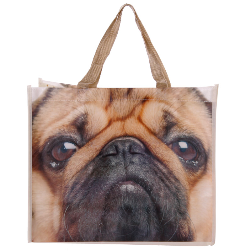 Cute Pug Durable Reusable Shopping Bag