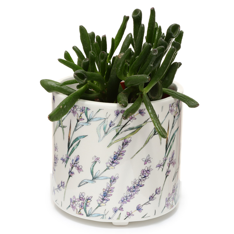 Decorative Ceramic Indoor Freestanding Planter/Large Plant Pot - Lavender Fields Pick of the Bunch