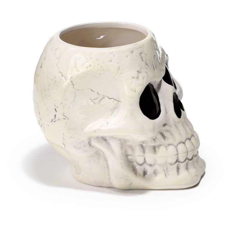 Shaped Ceramic Garden Planter/Plant Pot - Ancient Skull