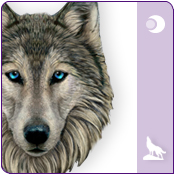  Dropship Animal Themes - Wolf Themed Gifts 