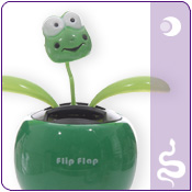  Frog & Reptile Themed Gifts 