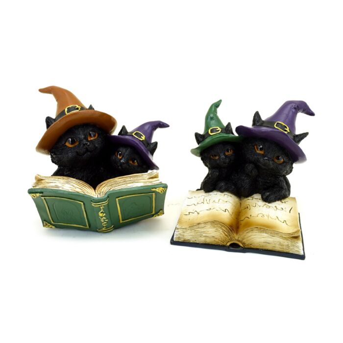 Witches Cat - Magical Spell Book