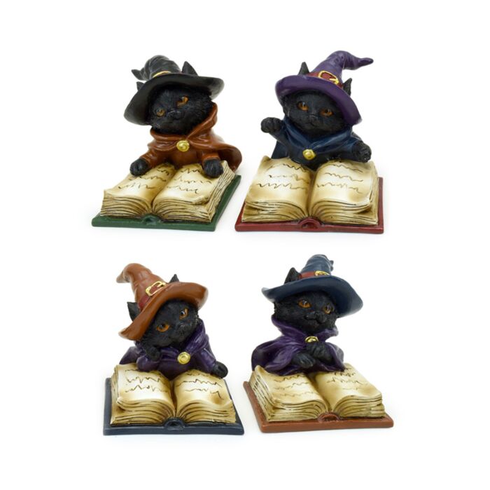 Witches Black Cat Reading from Magical Spell Book
