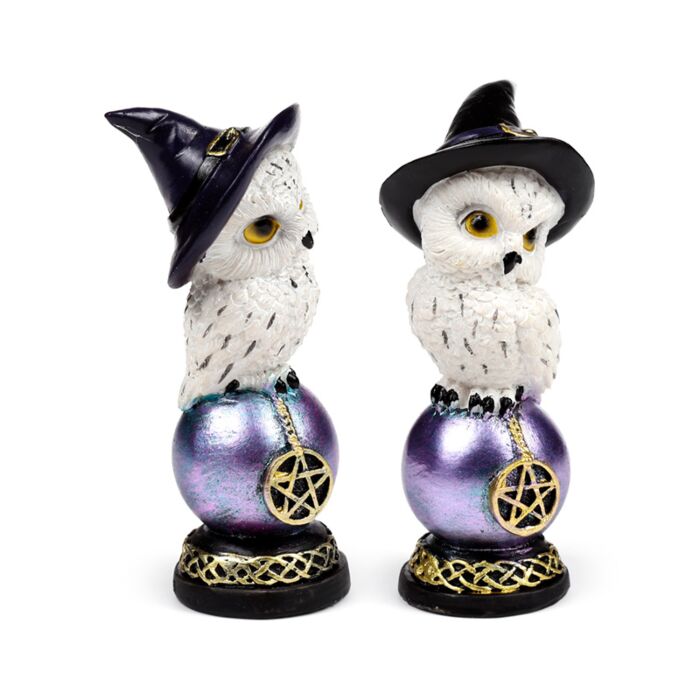 Wise Old Magical Owl - Iridescent Orb
