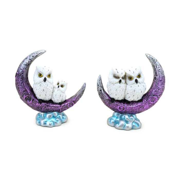 Wise Old Magical Owl Crescent Moon