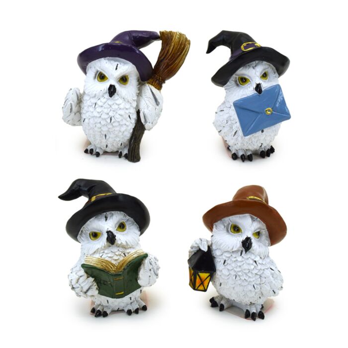 Wise Old Magical Owl Enchanted Apprentice
