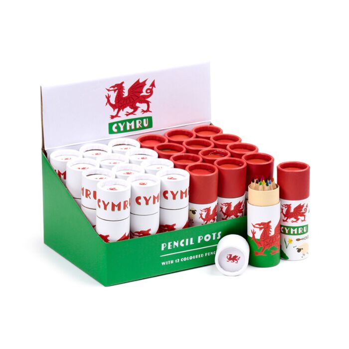 Colouring Pencil Tube - Welsh Dragon