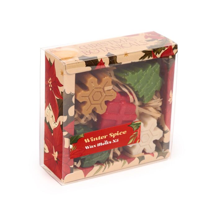 Handmade Wax Melt Set of 5 - Winter Spice Christmas Botanicals