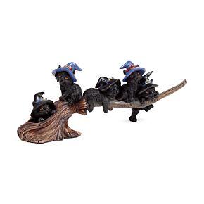 Witches Cat - Playing on Broomstick
