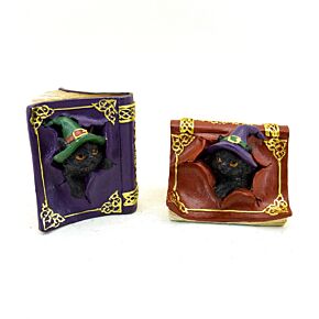 Witches Cat - Mischievous Spell Book