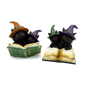 Witches Cat - Magical Spell Book