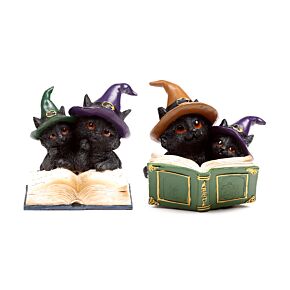 Witches Cat - Magical Spell Book