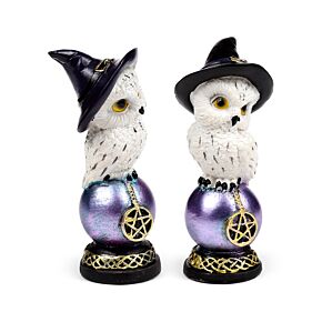 Wise Old Magical Owl - Iridescent Orb