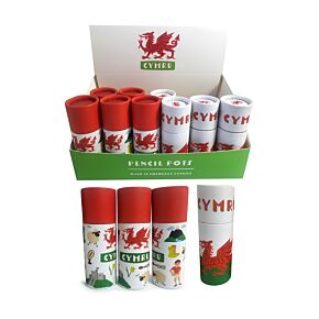 Colouring Pencil Tube - Welsh Dragon