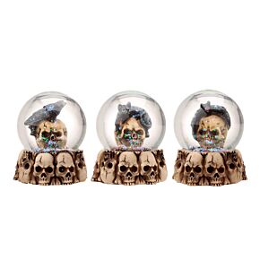 Gothic Skull Snow Globe - Black Cat, Crow and Bat Skull