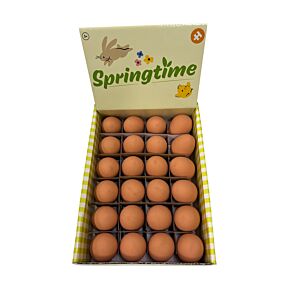 Bouncy Egg - Springtime
