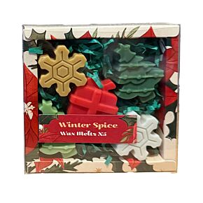 Handmade Wax Melt Set of 5 - Winter Spice Christmas Botanicals