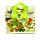 Tropical Frogs RPET Cool Bag