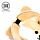 Relaxeazzz Travel Pillow & Eye Mask - Shiba Inu Dog