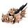 Fantasy Dragon Skull Money Box