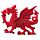 Souvenir Magnet - Welsh Dragon
