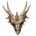 Collectable Dragon Skull