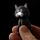 LED Light & Sound Keyring - Meowing Cat