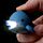 LED Light & Sound Keyring - Sealife