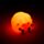 Colour Change Sleep Lamp Night Light - Adoramals Sheep