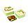 Lunch Boxes Set of 3 (M/L/XL) - Tropical Tree Frog