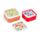 Lunch Boxes Set of 3 (M/L/XL) - Tulips