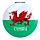 Compact Mirror - Welsh Dragon Wales (Cymru)