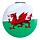 Compact Mirror - Welsh Dragon Wales (Cymru)
