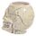 Ceramic Shaped Head Mug - Ancient Skull