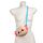 Plush Crossbody Bag - Adoramals Maddie the Axolotl