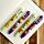 Multi Colour Pen (6 Colours) - Adoramals Wild