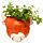 Decorative Ceramic Indoor Wall Planter/Plant Pot - Highland Coo Cow