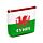 PVC Purse - Welsh Dragon Wales (Cymru)