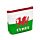 PVC Purse - Welsh Dragon Wales (Cymru)