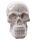 Novelty Glossy Small Skull Ornament