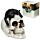 Fantasy Skull Ornament - Skull with Black Cat
