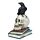 Crow Standing on Skull and Books Ornament