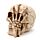 Gothic Skull Decoration - Skull Head with Skeleton Claw Hand
