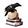 Decorative LED Ornament -  Crow on Skull & Books