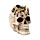 Decorative Ornament - Skull with Spider