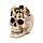 Decorative Ornament - Skull with Spider