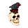 Decorative Ornament - Skull with Raven & Red Roses