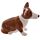 Ceramic Salt & Pepper Set - Queen & Corgi