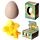 Fun Kids Novelty Hatching Chicken