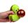 Queasy Squeezies Fidget Toy - Avocado